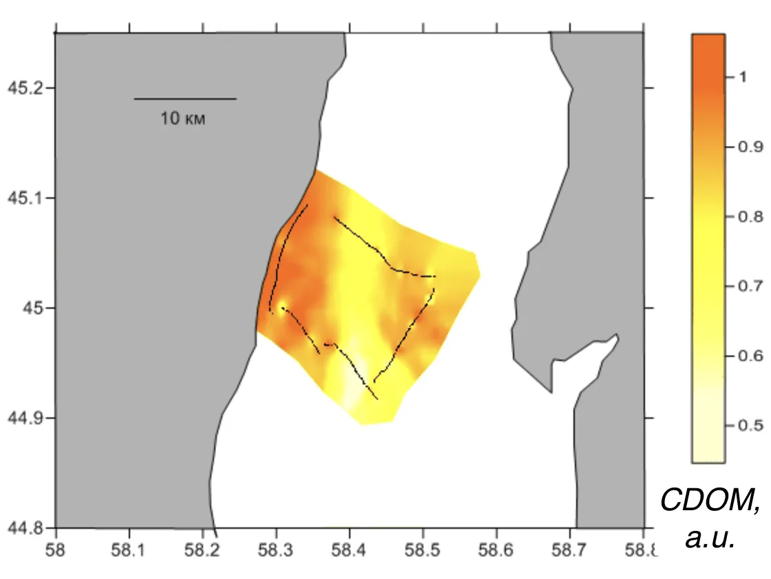 Interpolated CDOM field mapped along the lidar track, Aral Sea, Aral Sea, 2009