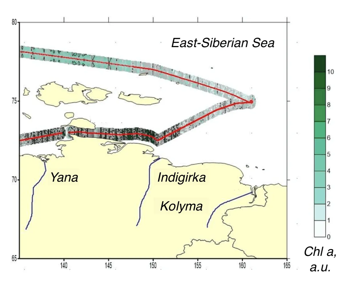 Interpolated chlorophyll a field mapped along the lidar track, Kara, Laptev, East Siberian seas, East Siberian Sea leg