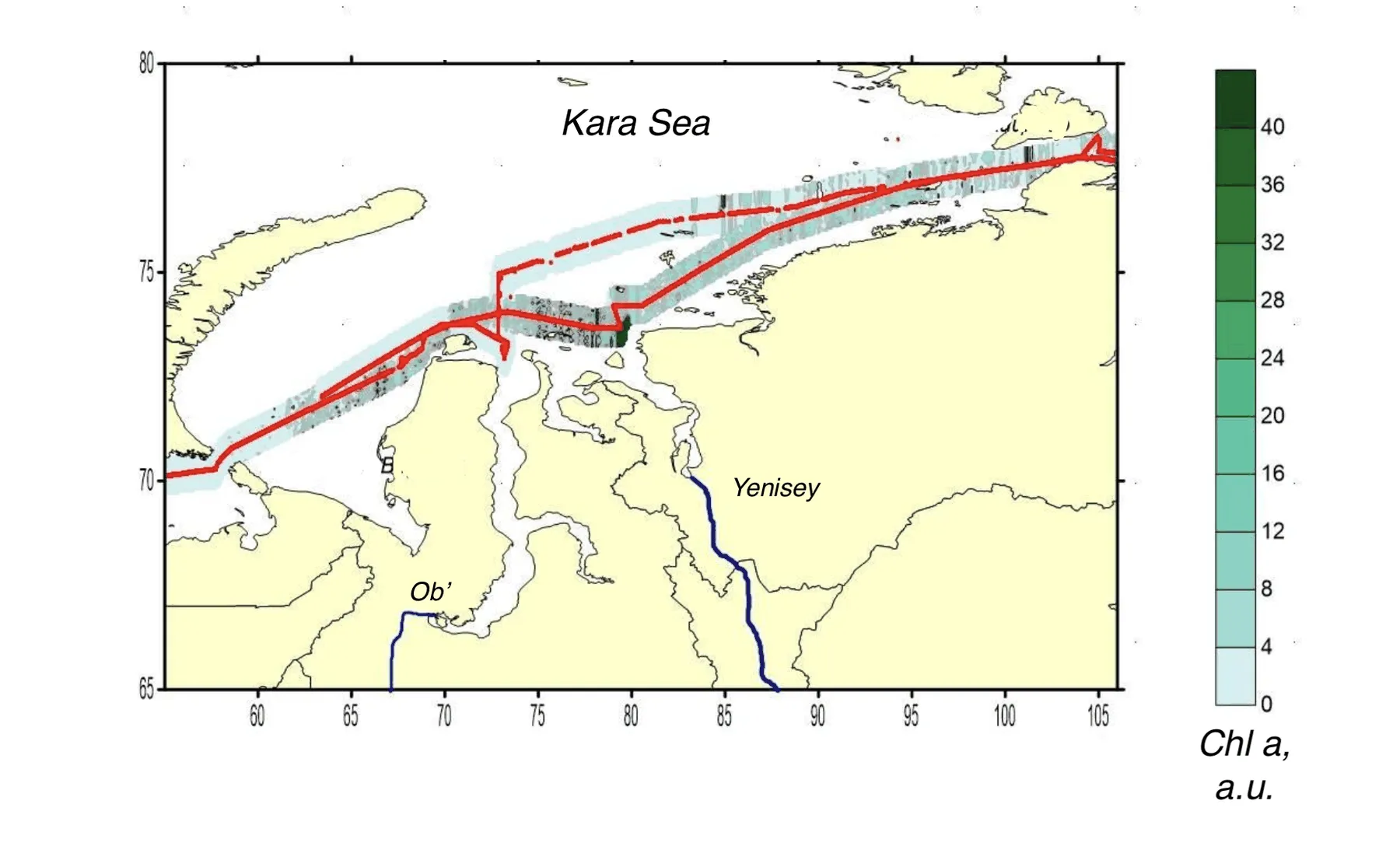 Interpolated chlorophyll a field mapped along the lidar track, Kara, Laptev, East Siberian seas, Kara Sea leg