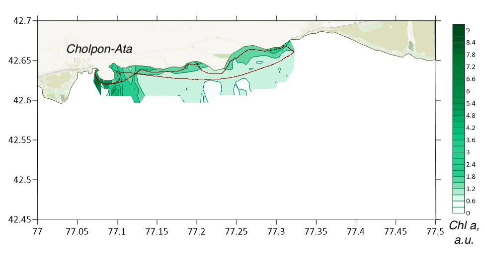 Interpolated chlorophyll a field mapped along the lidar track, Lake Issyk-Kul, Northern shore, July 2022