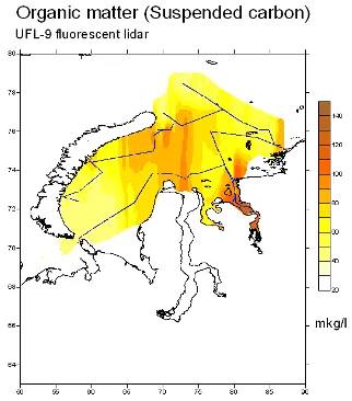 Interpolated suspended organic carbon field mapped along the lidar track, Kara Sea, Regional composite