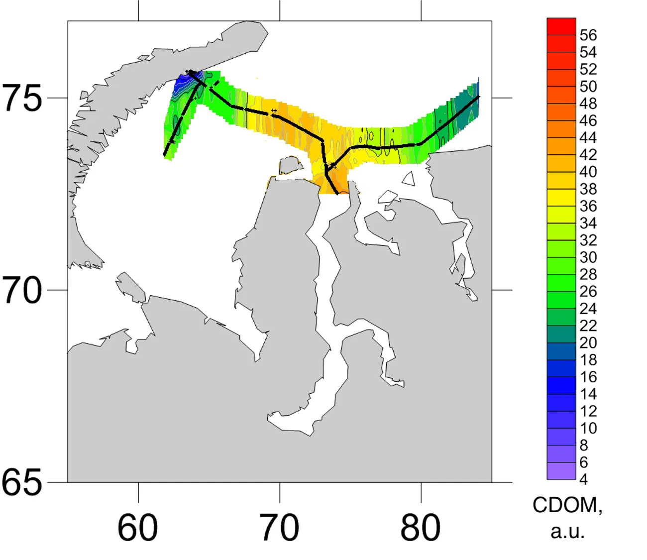 Interpolated CDOM field mapped along the lidar track, Kara Sea, September 2017