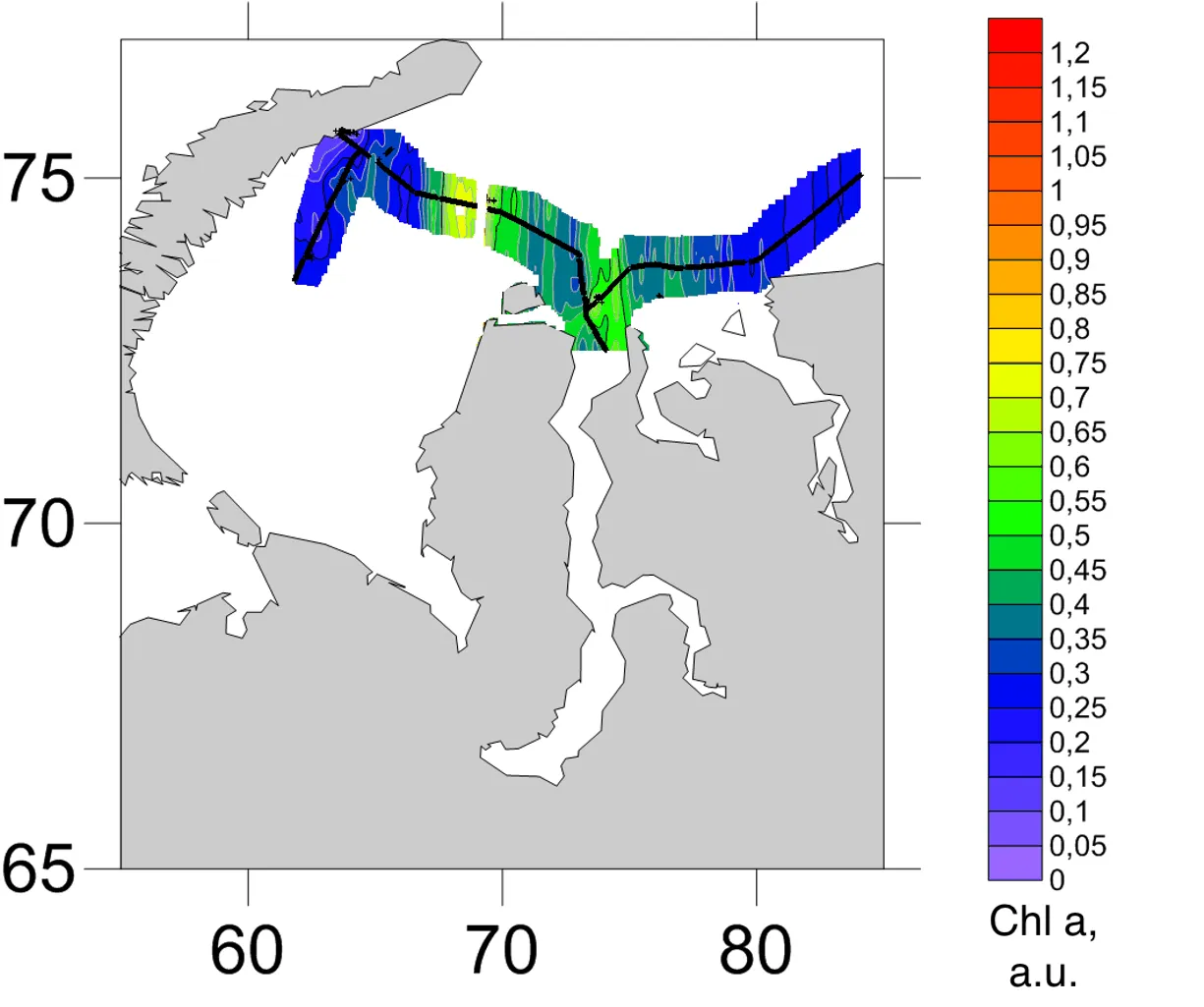 Interpolated chlorophyll a field mapped along the lidar track, Kara Sea, September 2017
