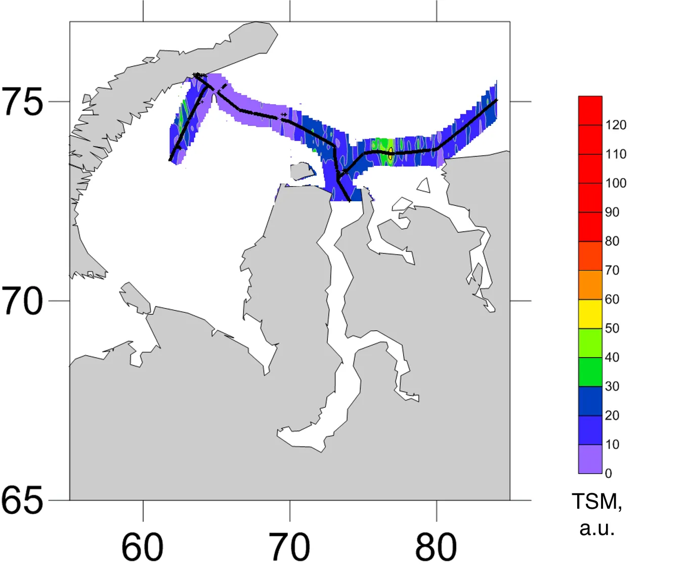 Interpolated total suspended matter field mapped along the lidar track, Kara Sea, September 2017
