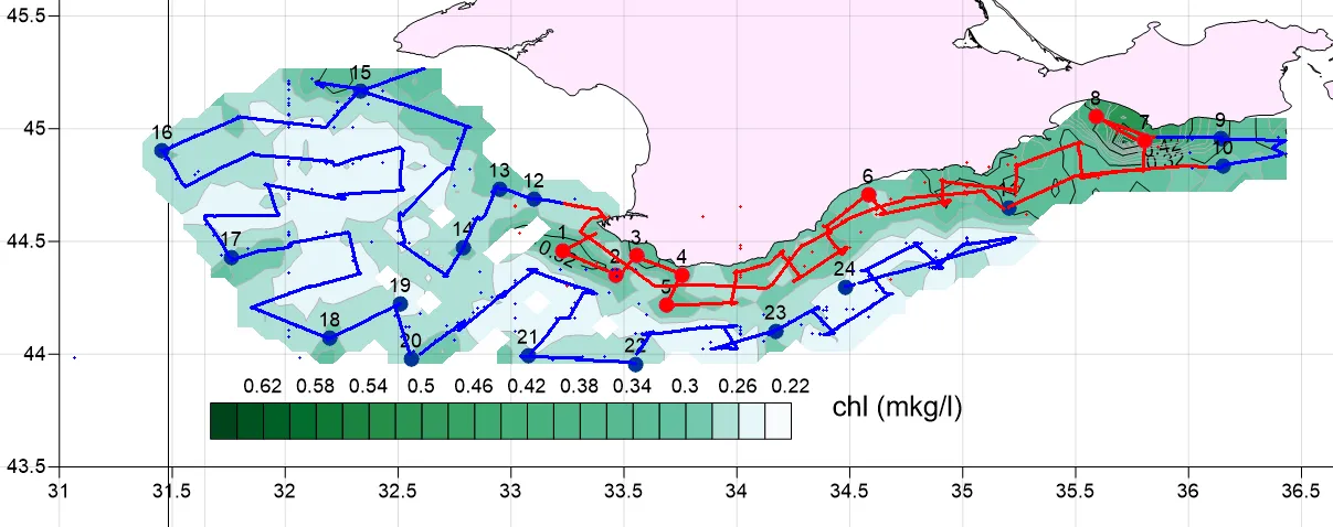 Interpolated chlorophyll a field mapped along the lidar track, Sevastopol Bay, 2017 campaign